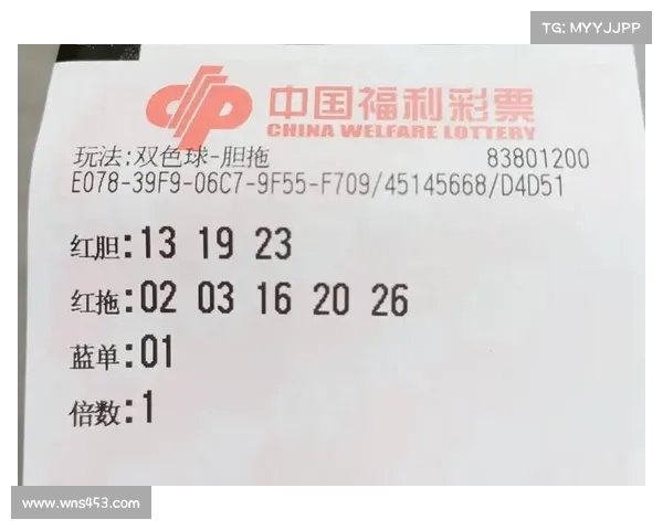 双色球投注技巧与数据分析 深度剖析如何提高中奖概率的方法 双色球投注技巧与数据分析 深度剖析如何提高中奖概率的方法